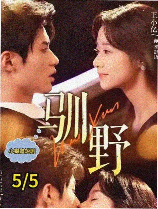 苹果在线电影 暗夜追光